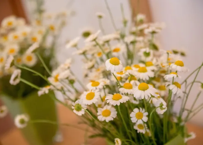 Nada 아파트 로비니